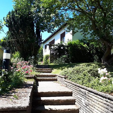 Gruene Oase Und Trotzdem Zentral Apartment Хамелн Екстериор снимка