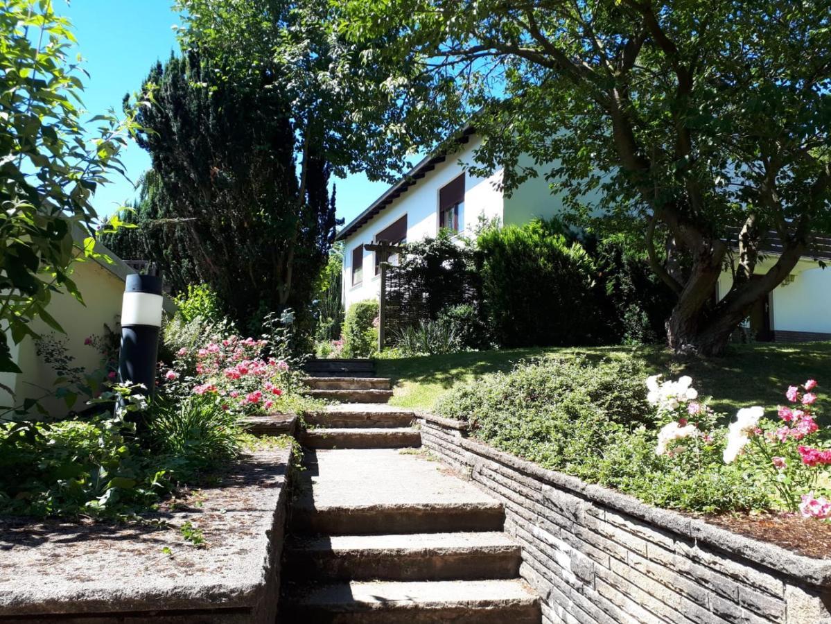 Gruene Oase Und Trotzdem Zentral Apartment Хамелн Екстериор снимка